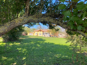 Ferienhaus Primorska Sunshine in Strandn��he